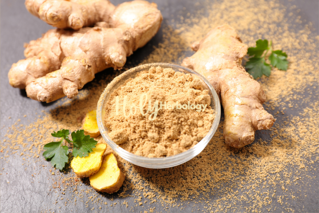 A small bowl of ground ginger powder is surrounded by fresh ginger roots. A few ginger slices and parsley leaves are placed nearby, showcasing the natural nausea and vomiting relief properties. The black stone surface is sprinkled with ginger powder, adding texture to the composition. The word "Herbology" appears across the middle of the image.