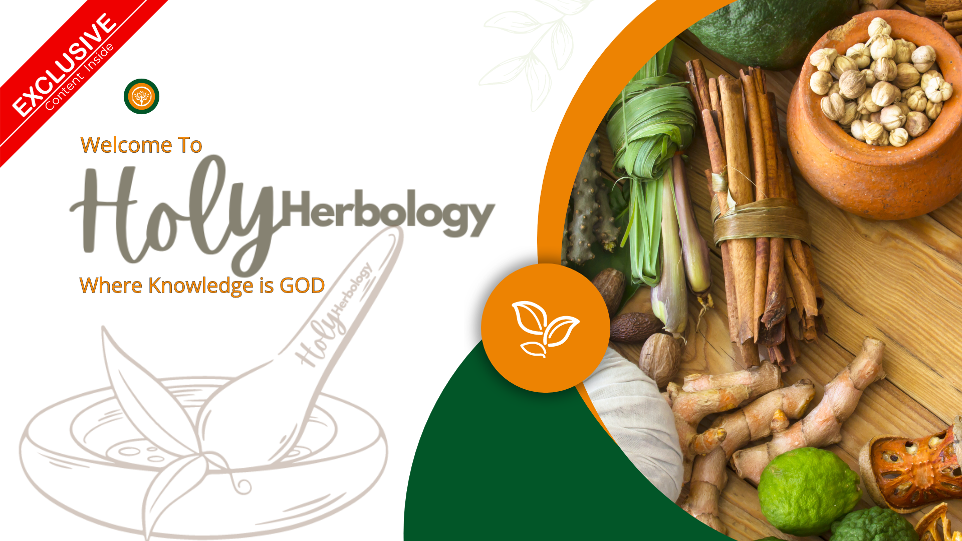 An artistic depiction of diverse herbs, embodying the principles of holistic health and natural healing practices.