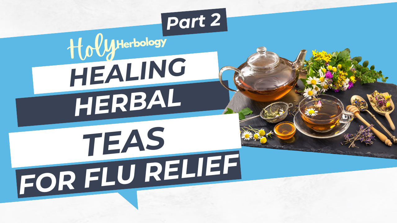 Promotional image for HolyHerbology's "Healing Herbal Teas for Flu Relief, Part 2." It features a clear teapot and teacup filled with herbal tea, surrounded by herbs and flowers on a black slate. Text appears prominently, emphasizing the topic of flu relief through herbal teas.